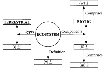 Our Environment Class 10 Important Questions with Answers Science Chapter 15 Img 8