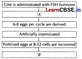 Strategies for Enhancement in Food Production Class 12 Important Questions and Answers Biology Chapter 9 Img 1