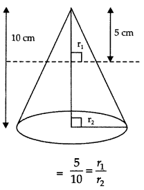 Surface Areas and Volumes Class 10 Extra Questions Maths Chapter 13 22