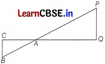 CBSE Sample Papers for Class 10 Maths Basic Set 4 with Solutions 1