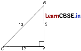 CBSE Sample Papers for Class 10 Maths Basic Set 6 with Solutions 11
