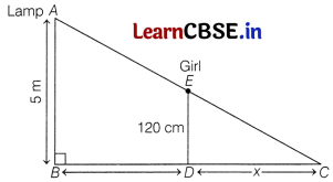 CBSE Sample Papers for Class 10 Maths Basic Set 9 with Solutions 7
