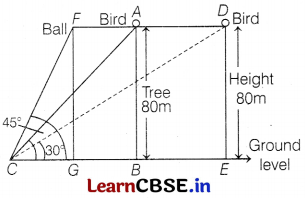 CBSE Sample Papers for Class 10 Maths Standard Set 1 with Solutions 13