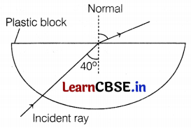 CBSE Sample Papers for Class 10 Science Set 1 with Solutions Q31.1