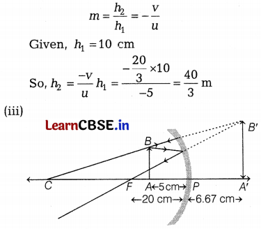 CBSE Sample Papers for Class 10 Science Set 1 with Solutions Q36.2