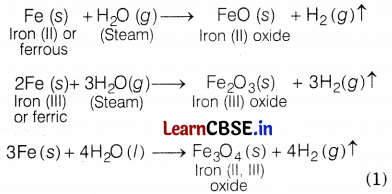 CBSE Sample Papers for Class 10 Science Set 10 with Solutions Q27.2