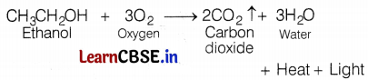 CBSE Sample Papers for Class 10 Science Set 10 with Solutions Q34.1