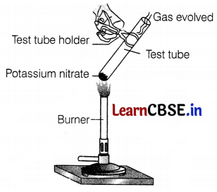 CBSE Sample Papers for Class 10 Science Set 11 with Solutions Q1