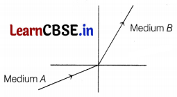 CBSE Sample Papers for Class 10 Science Set 11 with Solutions Q14