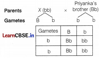 CBSE Sample Papers for Class 10 Science Set 12 with Solutions Q38.1