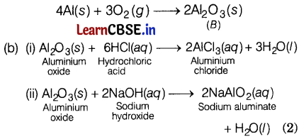 CBSE Sample Papers for Class 10 Science Set 2 with Solutions Q37