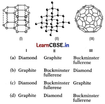 CBSE Sample Papers for Class 10 Science Set 3 with Solutions Q3