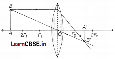 CBSE Sample Papers for Class 10 Science Set 3 with Solutions Q31.1