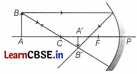 CBSE Sample Papers for Class 10 Science Set 4 with Solutions Q31.1