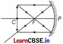 CBSE Sample Papers for Class 10 Science Set 4 with Solutions Q36.1
