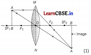 CBSE Sample Papers for Class 10 Science Set 4 with Solutions Q36.2
