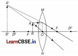 CBSE Sample Papers for Class 10 Science Set 4 with Solutions Q36.3