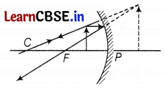 CBSE Sample Papers for Class 10 Science Set 4 with Solutions Q36