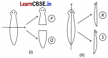 CBSE Sample Papers for Class 10 Science Set 5 with Solutions Q12