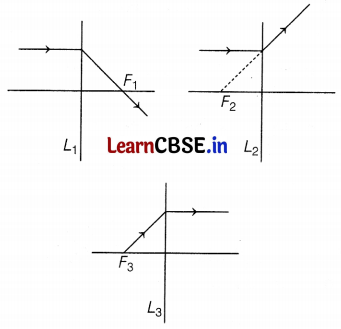 CBSE Sample Papers for Class 10 Science Set 5 with Solutions Q13