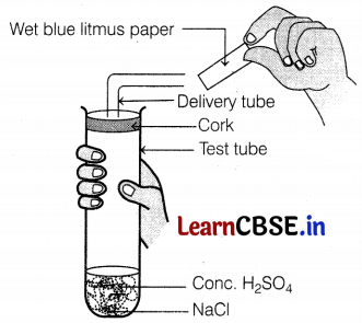 CBSE Sample Papers for Class 10 Science Set 6 with Solutions Q1
