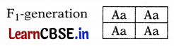 CBSE Sample Papers for Class 10 Science Set 7 with Solutions Q10