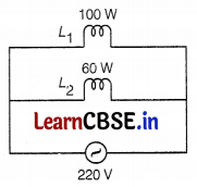 CBSE Sample Papers for Class 10 Science Set 7 with Solutions Q25.1