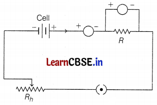 CBSE Sample Papers for Class 10 Science Set 7 with Solutions Q36