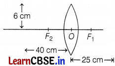 CBSE Sample Papers for Class 10 Science Set 7 with Solutions Q39