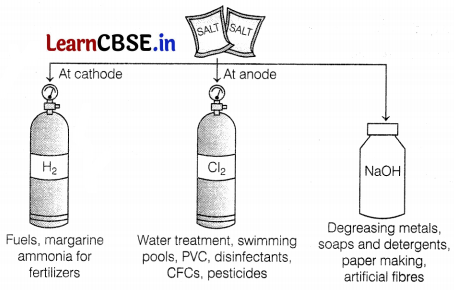 CBSE Sample Papers for Class 10 Science Set 8 with Solutions Q1