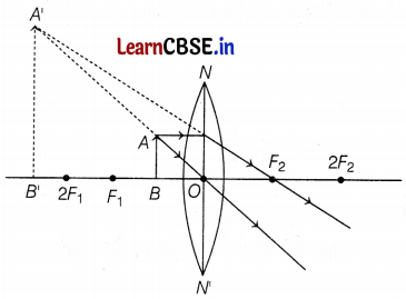 CBSE Sample Papers for Class 10 Science Set 8 with Solutions Q39.1