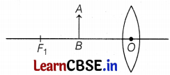 CBSE Sample Papers for Class 10 Science Set 8 with Solutions Q39
