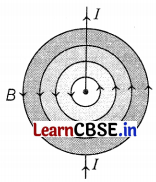 CBSE Sample Papers for Class 10 Science Set 9 with Solutions Q25.1