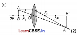 CBSE Sample Papers for Class 10 Science Set 9 with Solutions Q36.2
