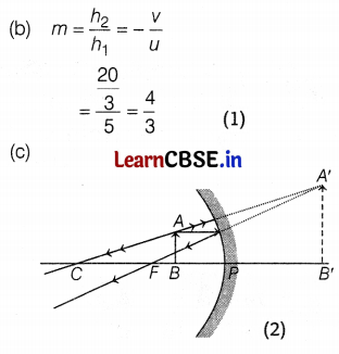 CBSE Sample Papers for Class 10 Science Set 9 with Solutions Q36.4