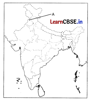 CBSE Sample Papers for Class 10 Social Science Set 10 with Solutions 2
