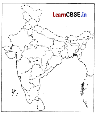 CBSE Sample Papers for Class 10 Social Science Set 10 with Solutions 3