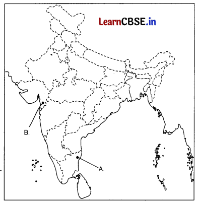 CBSE Sample Papers for Class 10 Social Science Set 11 with Solutions 3