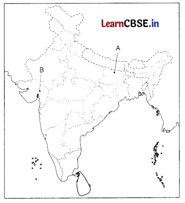 CBSE Sample Papers for Class 10 Social Science Set 12 with Solutions 4