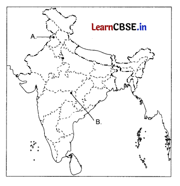 CBSE Sample Papers for Class 10 Social Science Set 6 with Solutions 5