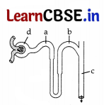 CBSE Sample Papers for Class 11 Biology Set 1 with Solutions 1