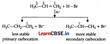 CBSE Sample Papers for Class 11 Chemistry Set 1 with Solutions 11