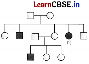 CBSE Sample Papers for Class 12 Biology Set 1 with Solutions 1