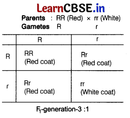CBSE Sample Papers for Class 12 Biology Set 1 with Solutions 14