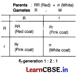 CBSE Sample Papers for Class 12 Biology Set 1 with Solutions 15