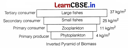 CBSE Sample Papers for Class 12 Biology Set 1 with Solutions 7