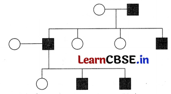 CBSE Sample Papers for Class 12 Biology Set 10 with Solutions 2