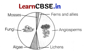 CBSE Sample Papers for Class 12 Biology Set 11 with Solutions 5