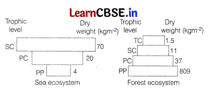CBSE Sample Papers for Class 12 Biology Set 12 with Solutions 7
