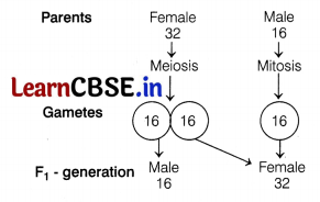 CBSE Sample Papers for Class 12 Biology Set 2 with Solutions 1